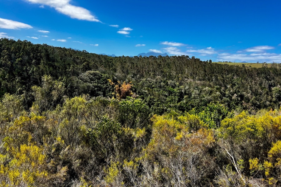 Commercial Property for Sale in Oubaai Western Cape